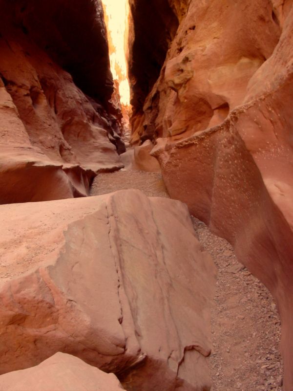 04160302LittleWildHorse (1060)